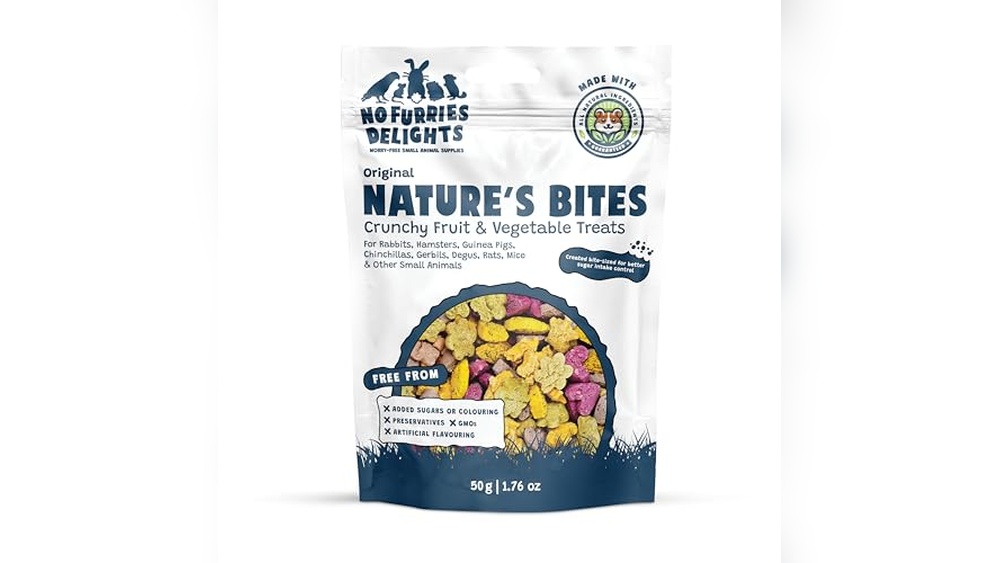 Best Rat Treats for Training (Small Bites) to Boost Learning Quickly