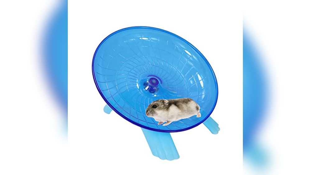 Best Rat Wheel (Tail-Safe Solid) for Quiet and Safe Small Pets