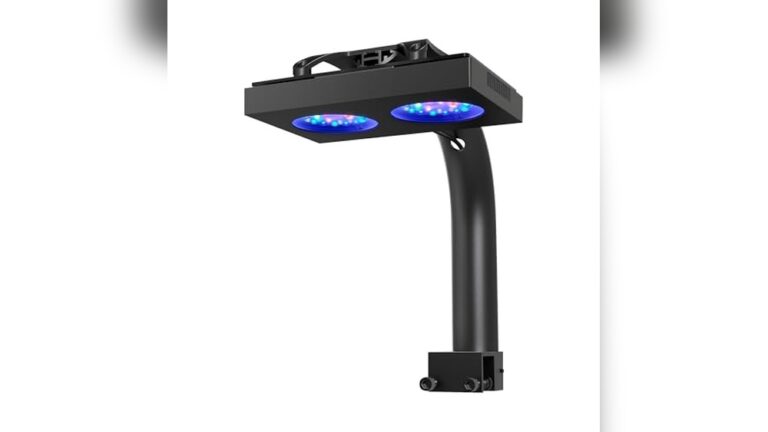 Best Reef Lighting for Sps Corals: Top LED Lights for Vibrant Growth
