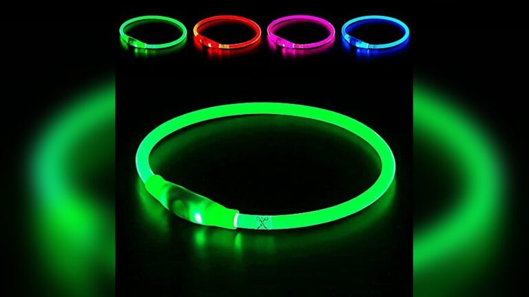 Best Reflective Collar for Night Safety: Top LED Dog Collars Reviewed