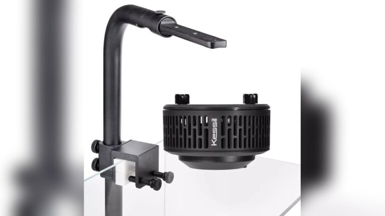 Best Refugium Lights