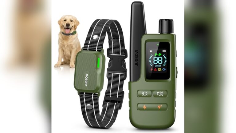 Best Remote Training Collar for Effective and Safe Dog Behavior Control