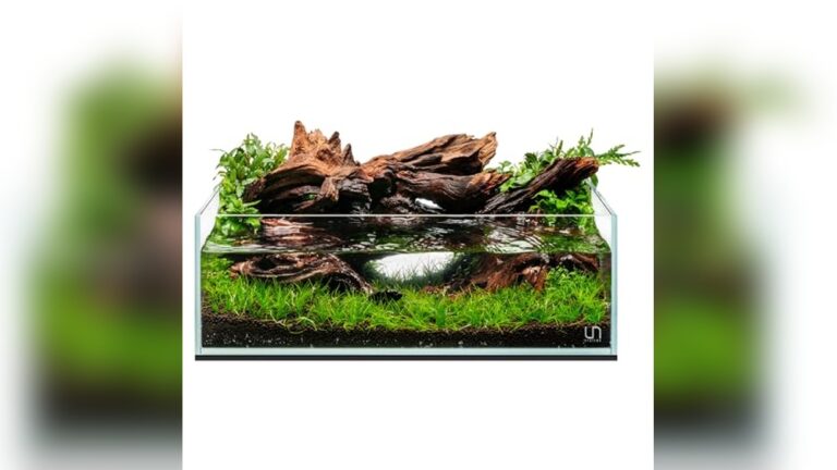 Best Rimless Aquarium for Aquascaping: Top Clear Glass Tanks Reviewed