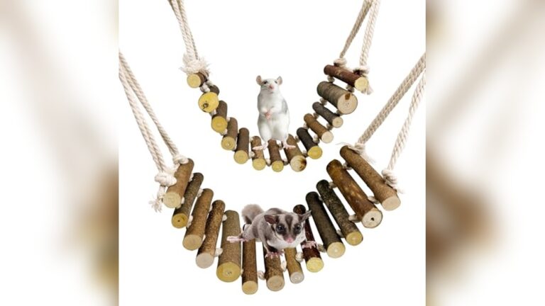 Best Rope Bridge for Mice/Gerbils: Top Durable Climbing Ladders Reviewed