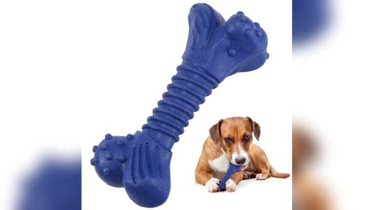Best Rubber Chew Toy for Large Dogs: Durable, Flavorful, and Indestructible Picks
