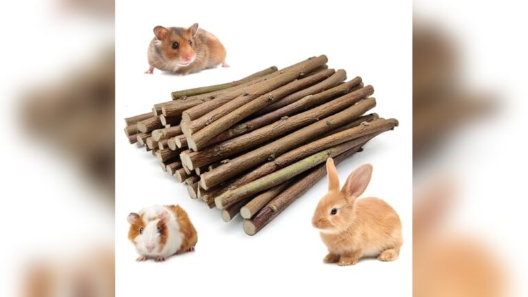 Best Safe Chew for Dental Wear Rabbits and Chinchillas Reviewed