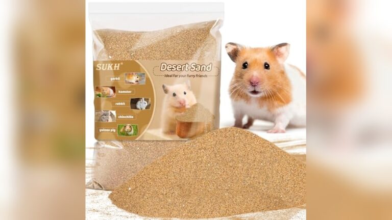 Best Sand Bath Substrate for Hamsters: Top Picks for Clean, Healthy Pets