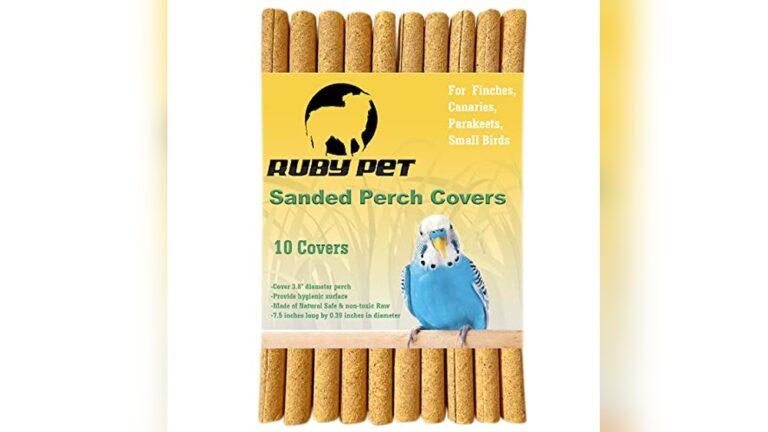 Best Sanded Perch (Gentle Grit) for Healthy Bird Feet and Beaks