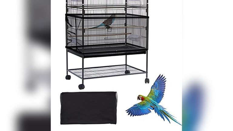 Best Seed Catcher for Bird Cages: Keep Your Bird Area Clean Easily