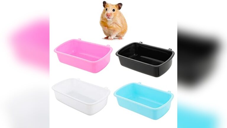Best Seed Dish for Mice (Tip-Resistant) to Keep Pets Happy