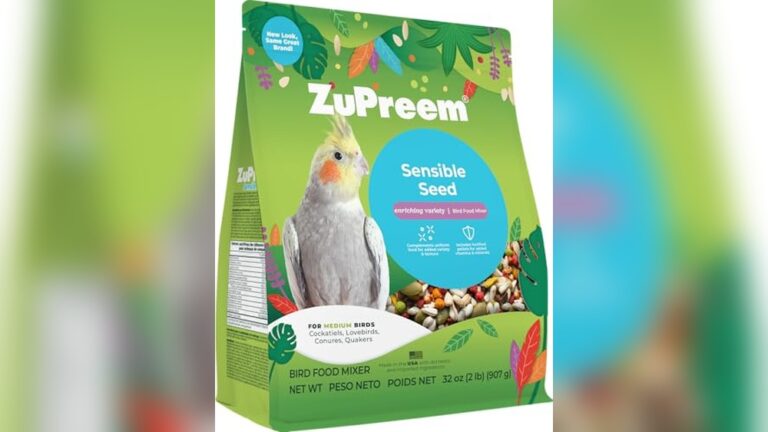 Best Seed Mix for Cockatiels (Balanced) to Boost Health and Vitality