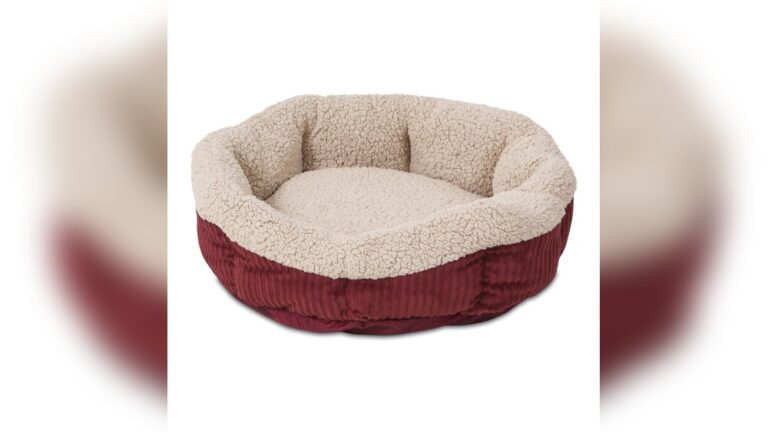 Best Self-Warming Cat Bed: Ultimate Comfort for Your Feline