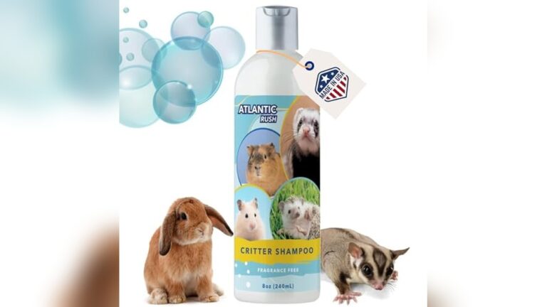 Best Shampoo for Ferrets (Mild) to Keep Their Coat Soft and Fresh