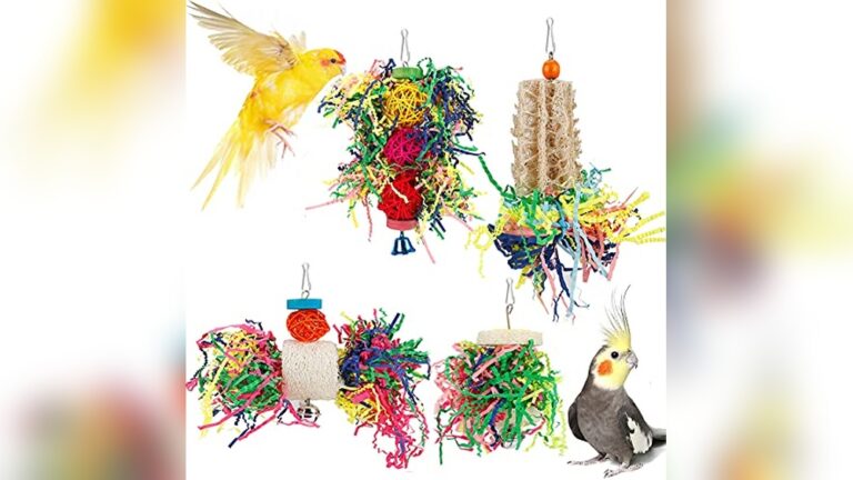 Best Shreddable Toys for Cockatiels to Boost Play and Foraging Fun