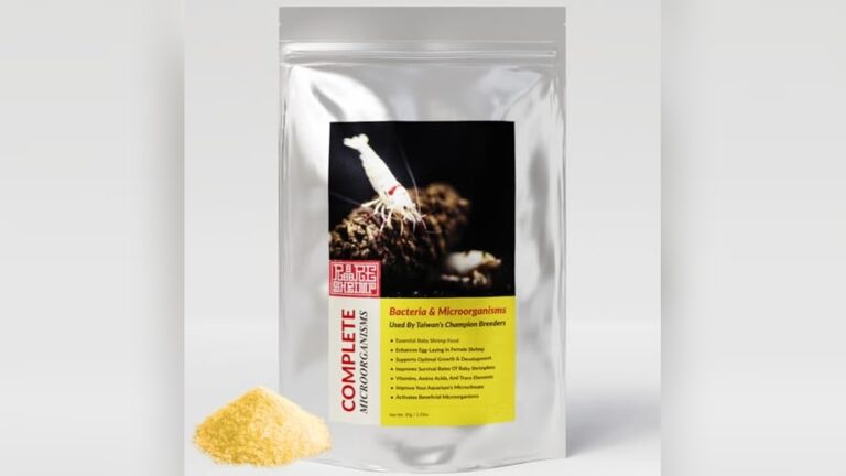 Best Shrimp Food for Biofilm Support to Boost Shrimplet Survival
