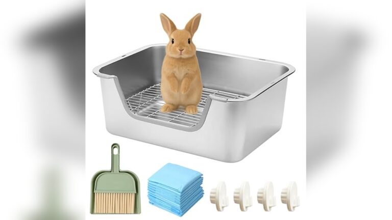 Best Sifting Litter Box for Guinea Pigs: Easy Spot Clean Solutions