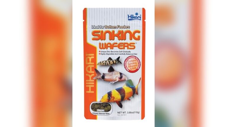 Best Sinking Pellets for Corydoras: Top Nutritious Bottom Feeder Foods