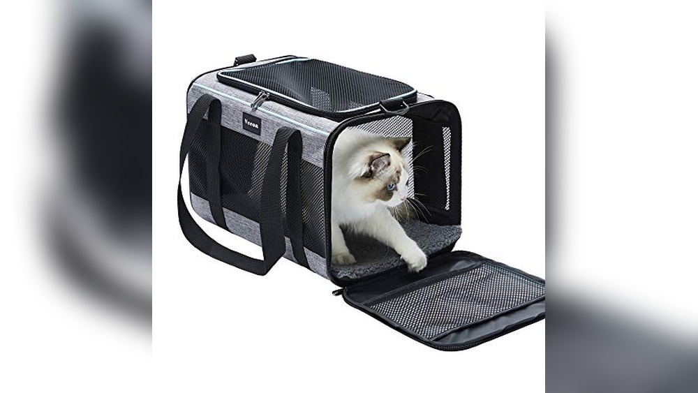 Best Small Animal Carrier for Vet Visits: Top Cozy and Portable Picks