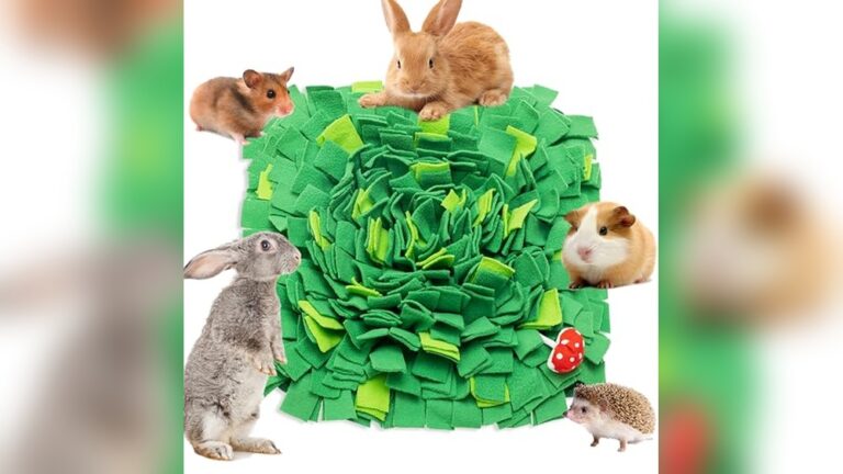 Best Snuffle Mat for Rabbits: Top Interactive Foraging Toys Reviewed