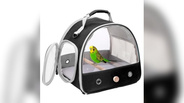 Best Soft-Sided Carrier for Cockatiels: Comfortable, Portable Bird Travel Solution