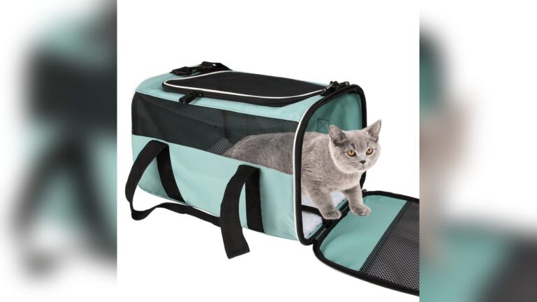 Best Soft-Sided Cat Carrier: Top Picks for Comfort & Safety