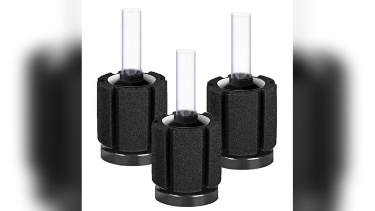Best Sponge Filter for Betta: Top Quiet Filters for Small Tanks