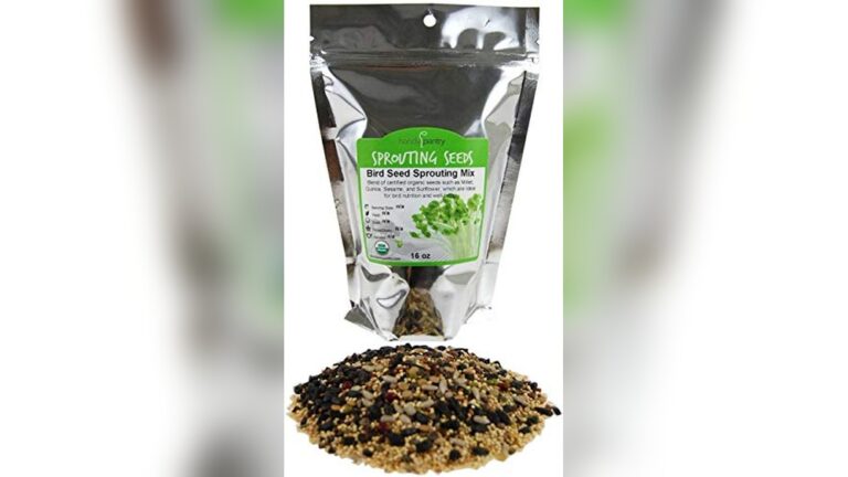 Best Sprouting Seeds for Parrots: Top Organic Mixes for Healthy Birds