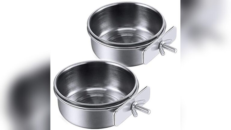Best Stainless Bowl for Chinchillas: Durable, Easy-Clean Feeding Solutions