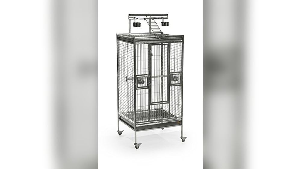 Image result for Best Stainless Steel Bird Cage (Easy Clean) for Hassle-Free Bird Care ...