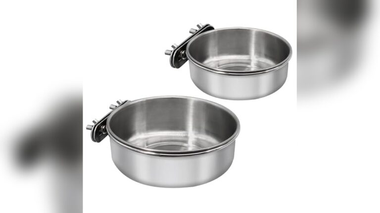 Best Stainless Steel Bowls for Parrots: Durable, Safe, and Easy to Clean