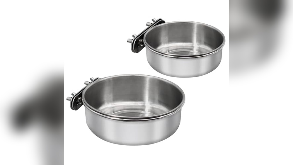 Best Stainless Steel Bowls for Parrots: Durable, Safe, and Easy to Clean