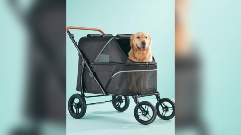 Best Stroller for Senior Dogs: Comfort and Durability Combined
