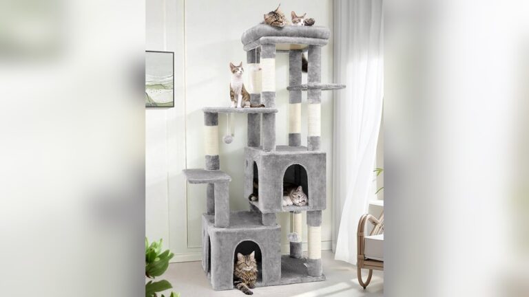 Best Sturdy Cat Tree for Heavy Cats: Durable & Safe Picks