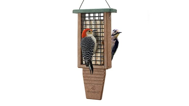 Best Suet Feeder for Woodpeckers: Durable, Double Capacity, Tail-Prop Designs