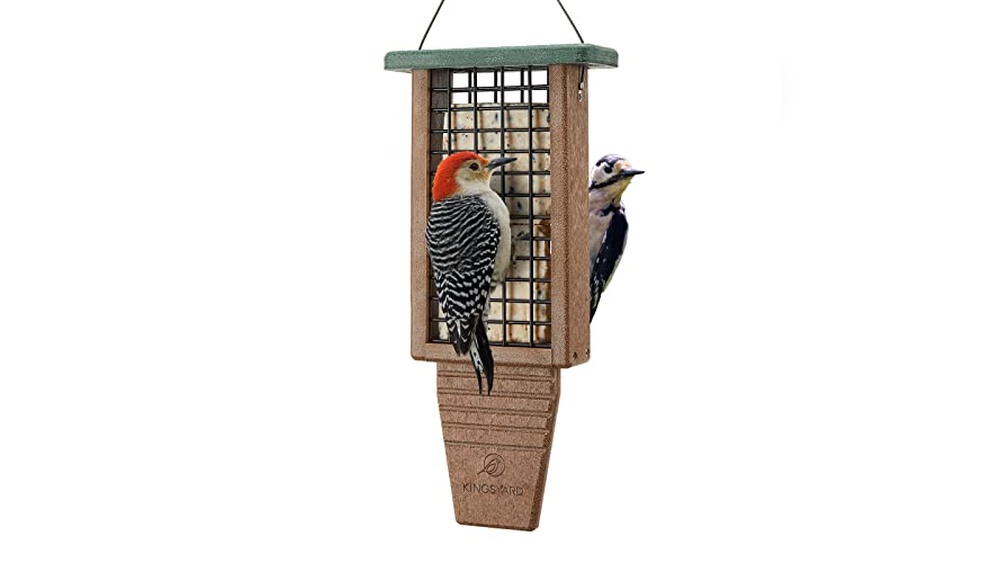 Best Suet Feeder for Woodpeckers: Durable, Double Capacity, Tail-Prop Designs