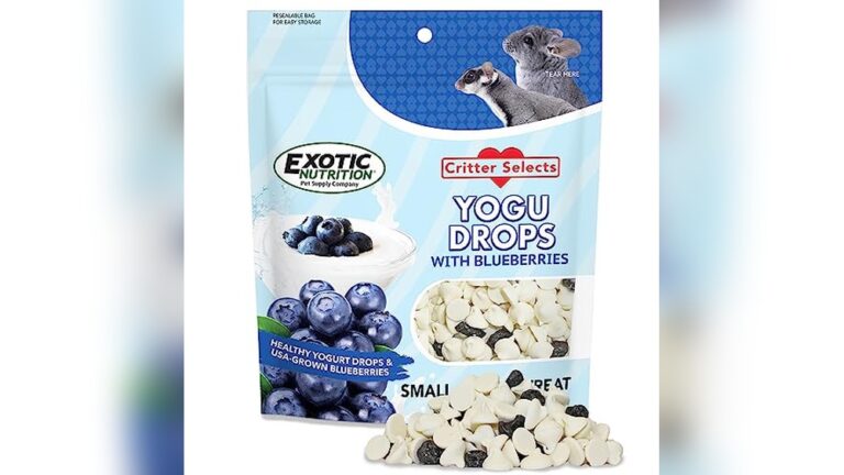 Best Sugar Glider Treats (Yogurt Drops Alt) for Healthy Small Pets