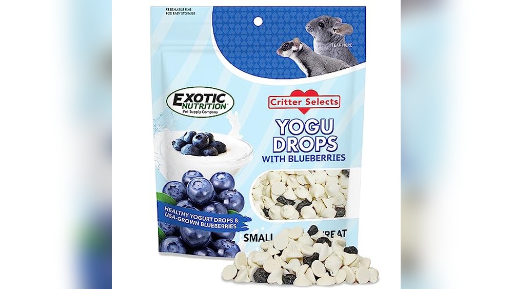 Best Sugar Glider Treats (Yogurt Drops Alt) for Healthy Small Pets