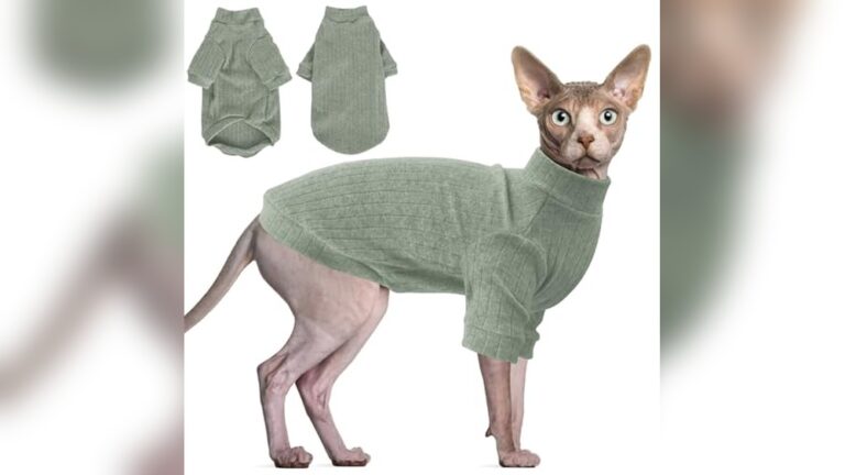 Best Sweater for Hairless Cats: Cozy, Stylish, and Warm Choices