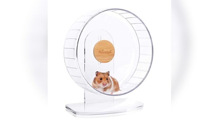 Best Syrian Hamster Wheel (28-30Cm) for Quiet and Comfortable Exercise