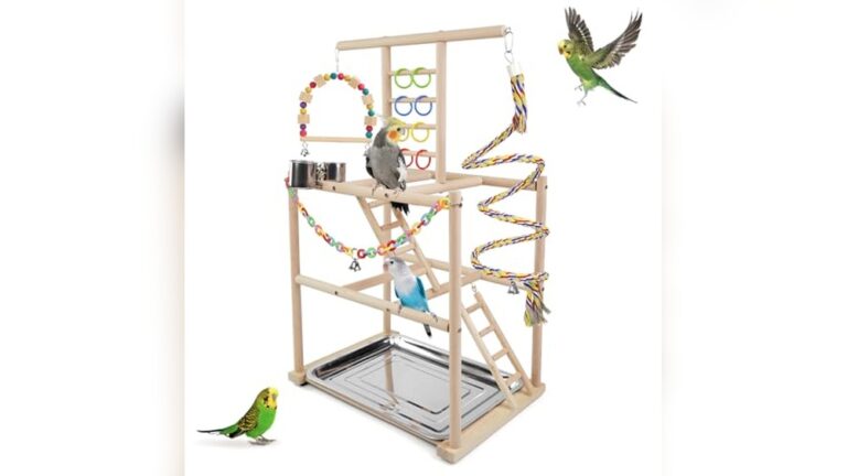 Best Tabletop Play Gym for Budgies: Top Picks for Active Birds