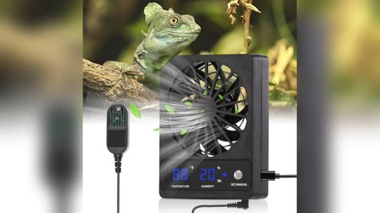 Best Thermometer for Hedgehog Room: Accurate and Reliable Temperature Monitors