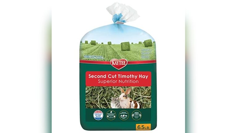 Best Timothy Hay for Guinea Pigs (2Nd Cut) – Top Soft & Lush Picks