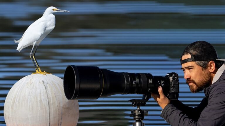 Best Trail Camera For Bird Watching