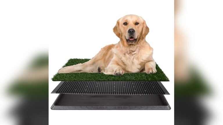 Best Training Mat for Indoor Dogs: Top Durable and Reusable Options