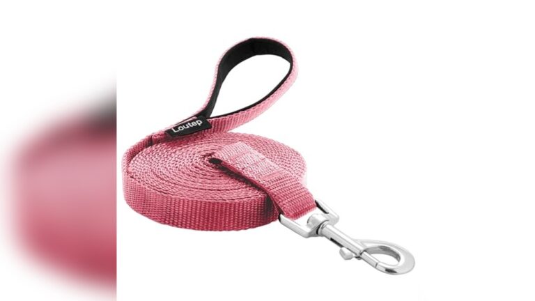 Best Training Stand for Recall Practice: Top Durable Leashes and Gear