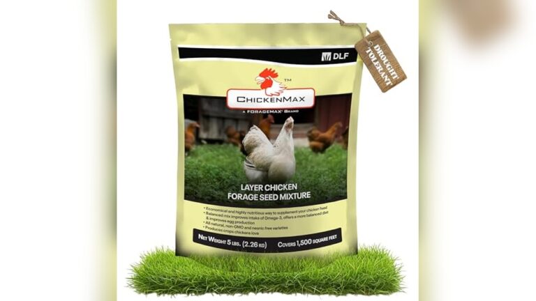 Best Transition Mix Seed to Pellet for Healthy Poultry Growth