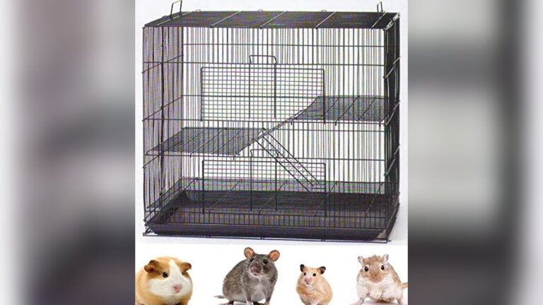Best Travel Cage for Ferrets (Secure) with 3-Levels and Chew-Proof Design