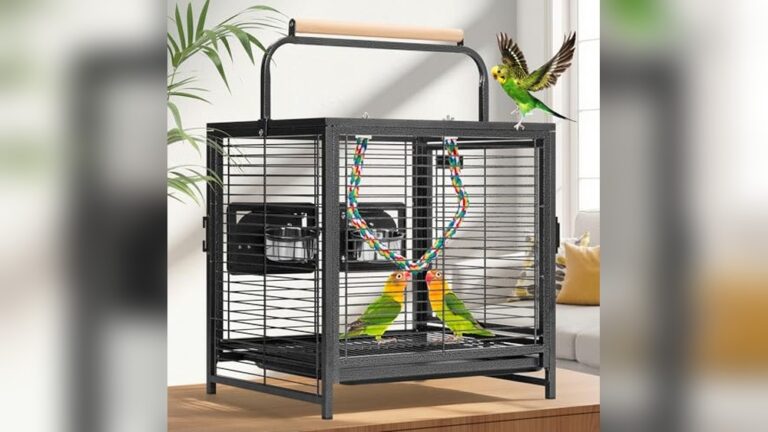 Best Travel Cage for Small Parrots: Top Portable Carriers Reviewed