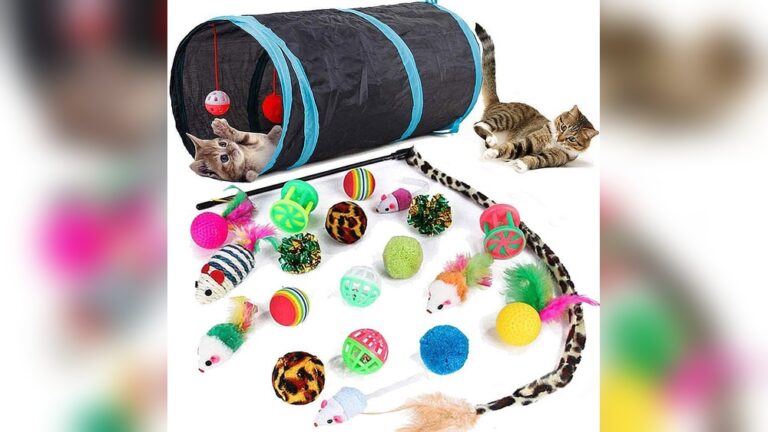 Best Tunnel Toy for Kittens: Top Picks for Endless Fun