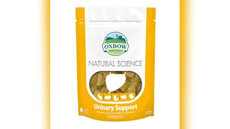 Best Urinary Support for Male Guinea Pigs: Top Supplements Reviewed